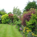 Open Gardens 2013