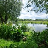 Barrow Open Gardens