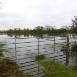 Yet More Flooding